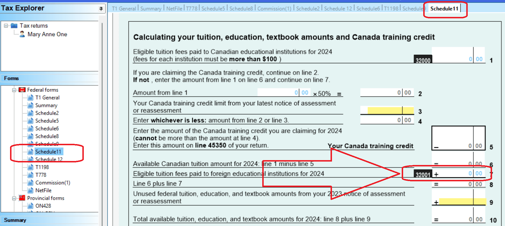 Schedule 11 line 32001