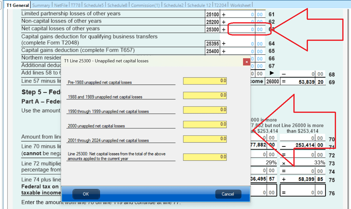 Line 25300 – Net capital losses of other years