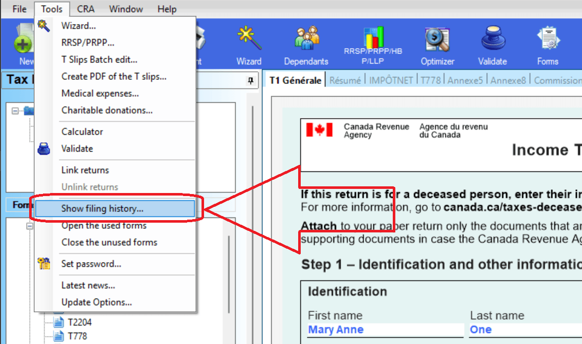 Show Filing History window