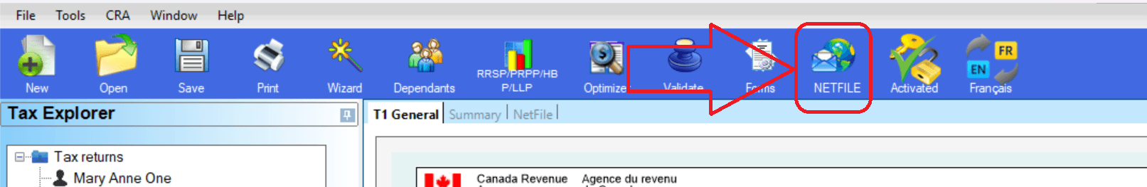Netfile button in the toolbar